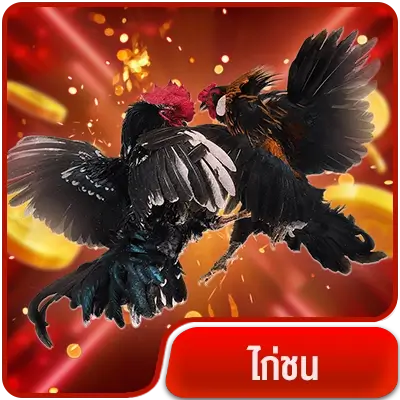 vg98-สมัคร-ไก่ชน